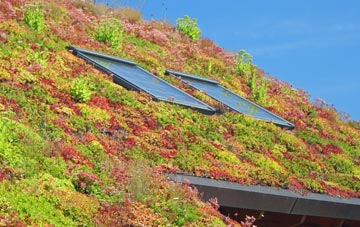 Clutton Hill living roof systems